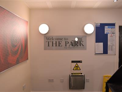 Picture 19